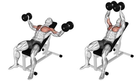 How to Master the Dumbbell Chest Fly